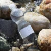 Eau minérale pour biberons Bébés des Alpes
