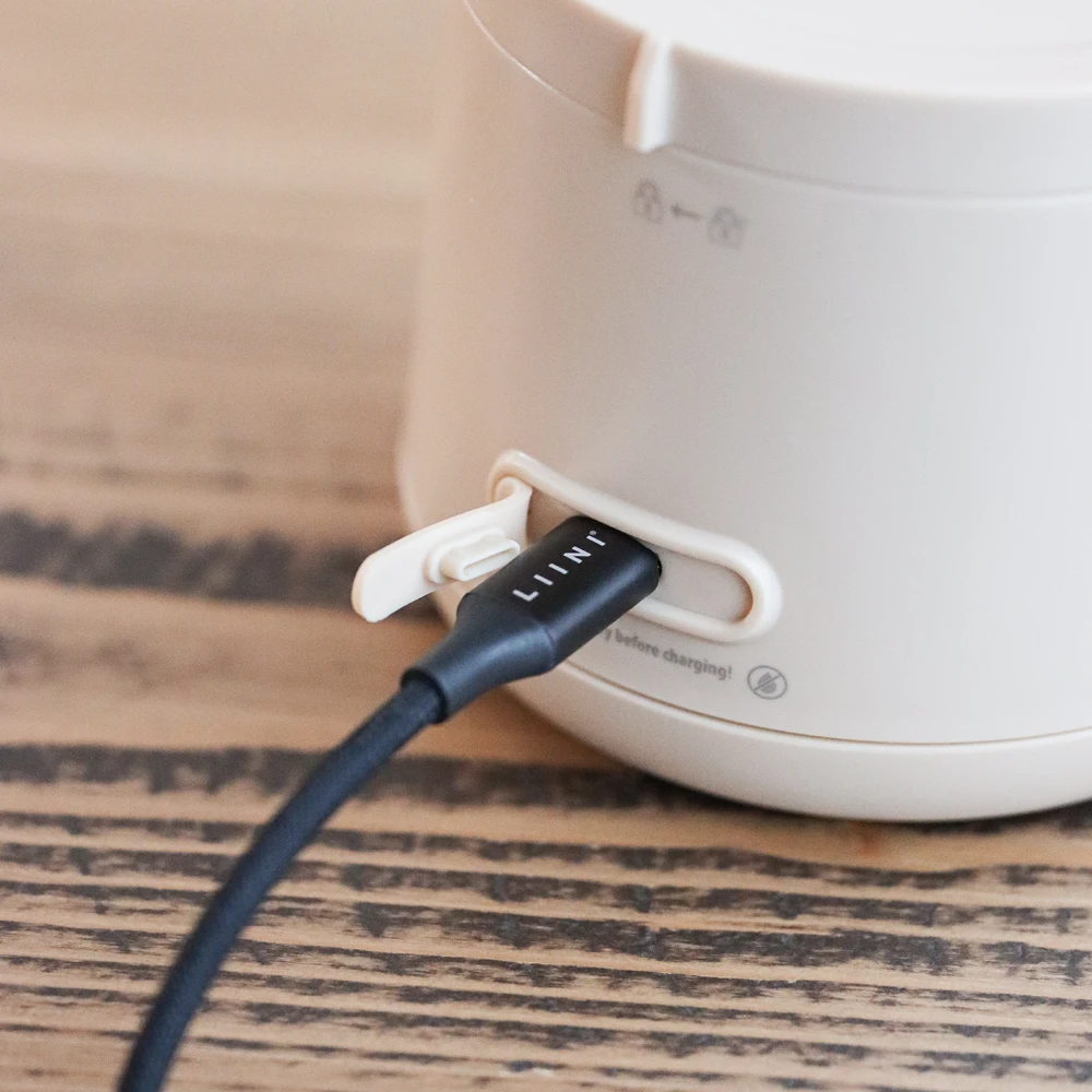 LIINI 4.0 Ladebuchse beige mit Abdeckung LIINI 4.0 Ladebuchse beige mit Abdeckung